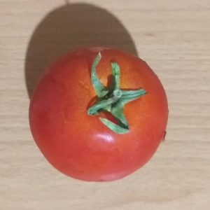 گوجه فرنگی